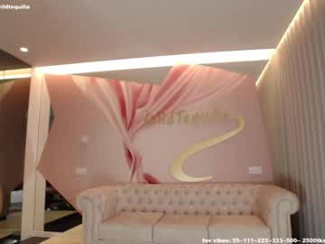 webcam girl wildtequilla live cam image #2809291