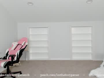 webcam girl foxy_gamer live cam image #693889