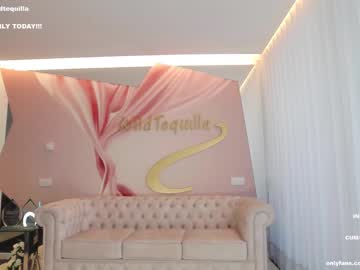 webcam girl wildtequilla live cam image #4496724