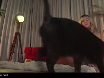 webcam girl provocatrixx live cam image #5429238